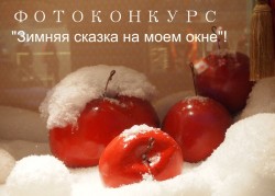 ���� ������ ���������� ����������� ������� ������ �� ����� ���� � ��������� ����� ���������